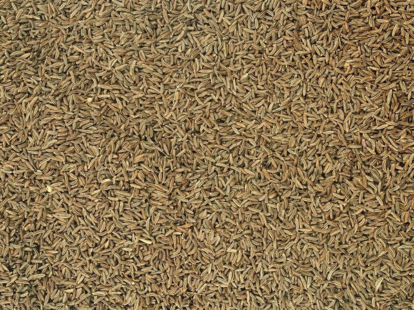 Cały kminek czeski ekologiczny - 100 g