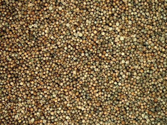 Cała kolendra - 100 g