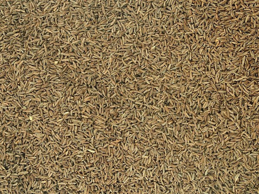 Cały kminek czeski ekologiczny - 100 g
