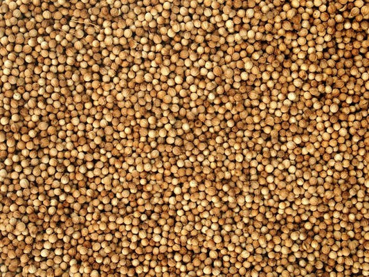 Cała kolendra ekologiczna - 100 g
